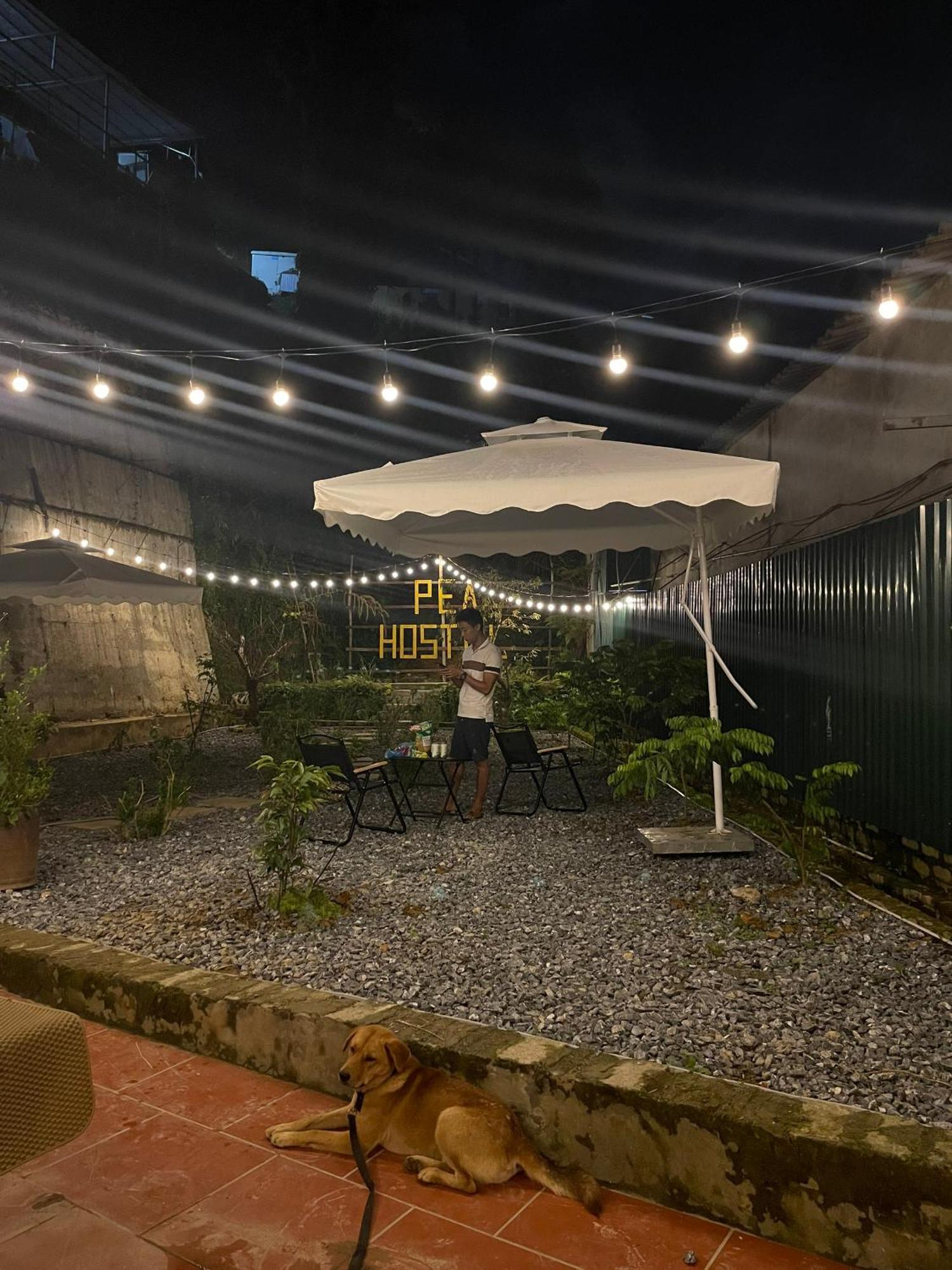 Pea Hostel 사파 외부 사진
